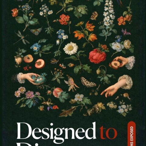 Designed to Disappear: Why the World No Longer Explains Itself